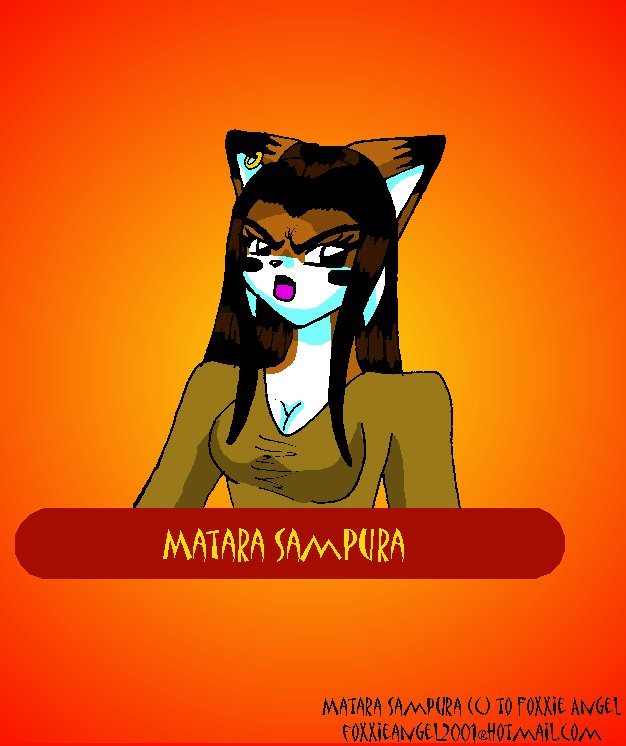 Matara the fox/echinda hybrid