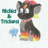 Nichici & Triclopsi