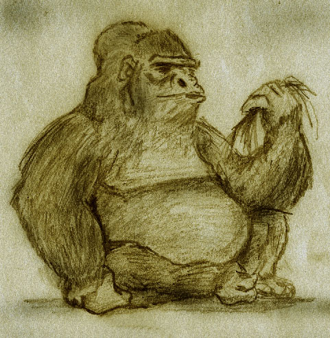 Gorilla