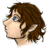 Frodo Profile-Vu!