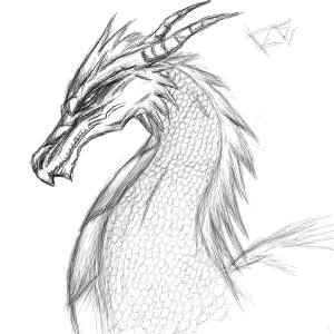 Sketchy Dragon