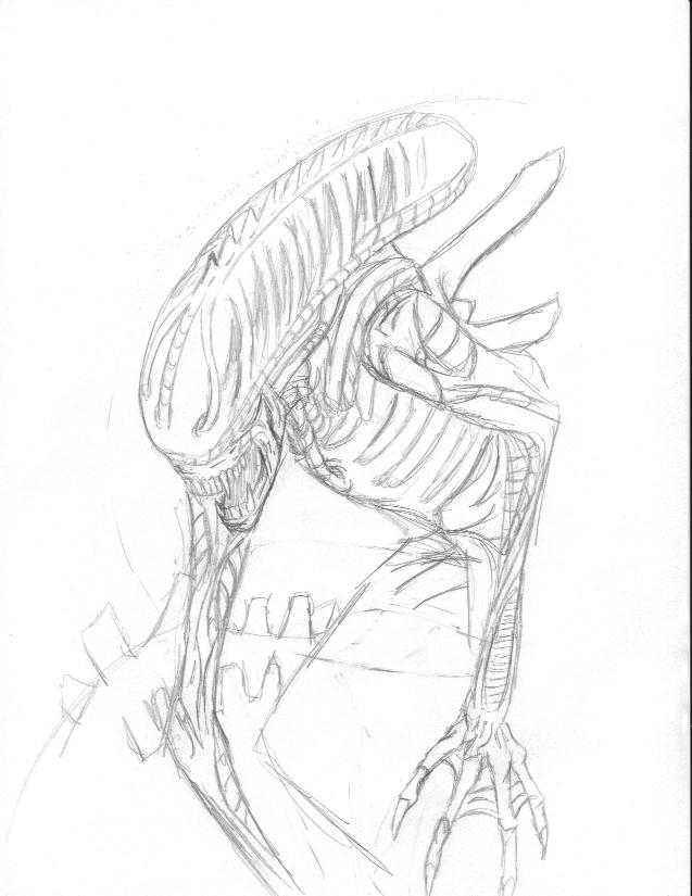 Xenomorph sketch