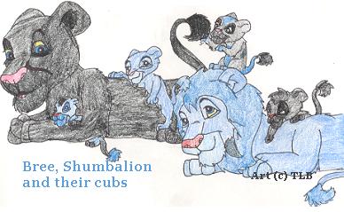 The First Ever Bree and Shumbalion Cub Pic.