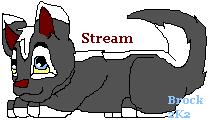 Stream