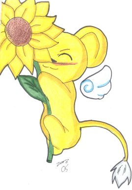 Kero sunflower