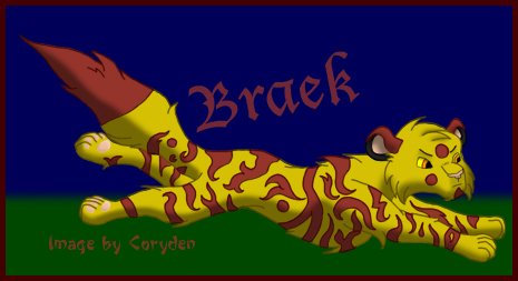 Braek