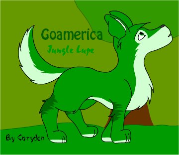 GoAmerica