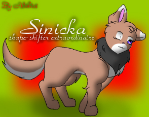 Sinicka as a Wocky