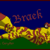 Braek