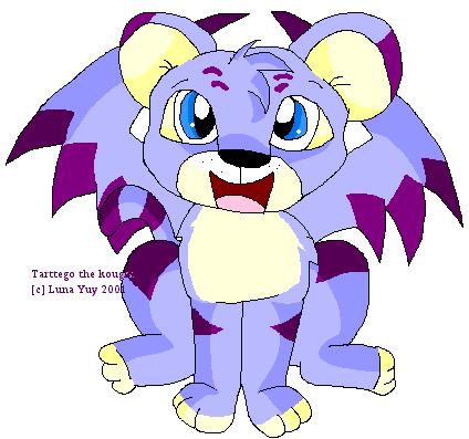 Tarttego the kougra