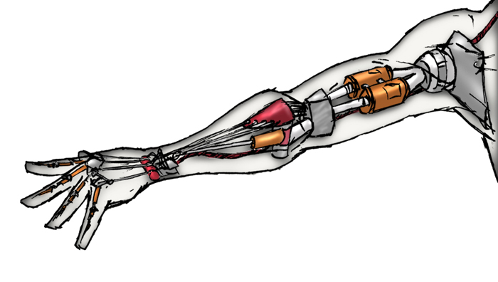Bionics for an Arm
