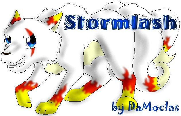 Normall Big stormlash