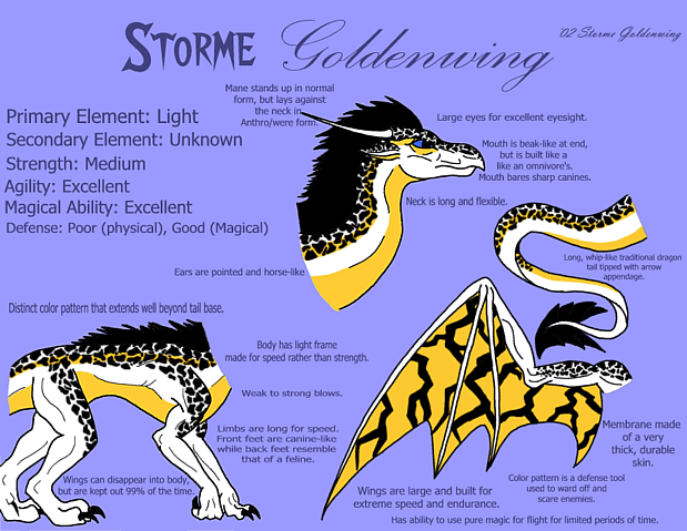 Storme -Fact Sheet