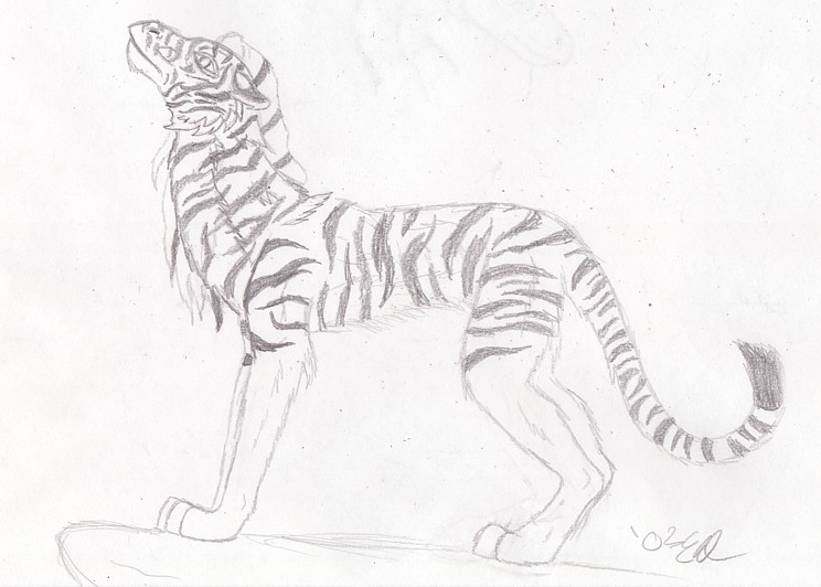 Kadia: White Bengal Tiger-Dragon