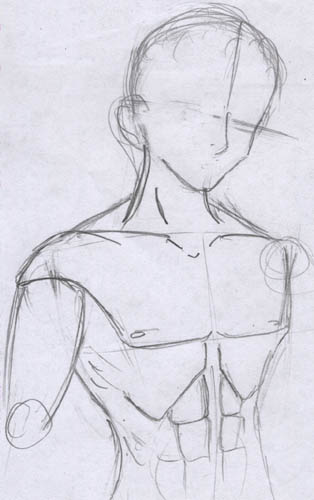 Muscular body anatomy sketch