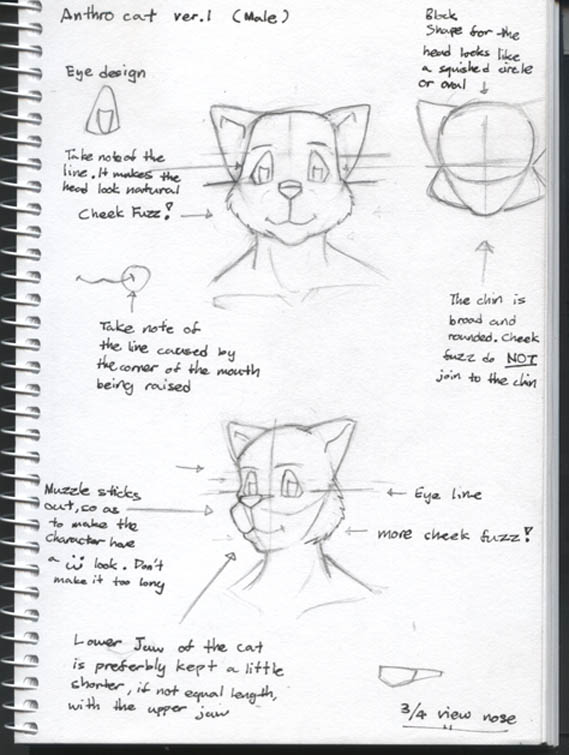 Anthro Cat Notes (Male)