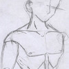 Muscular body anatomy sketch