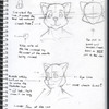 Anthro Cat Notes (Male)