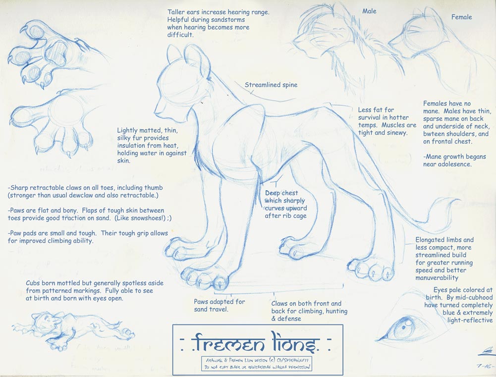 Fremen Lion Model Sheet