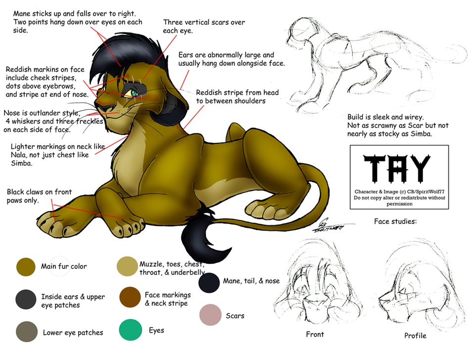 Tay Model Sheet