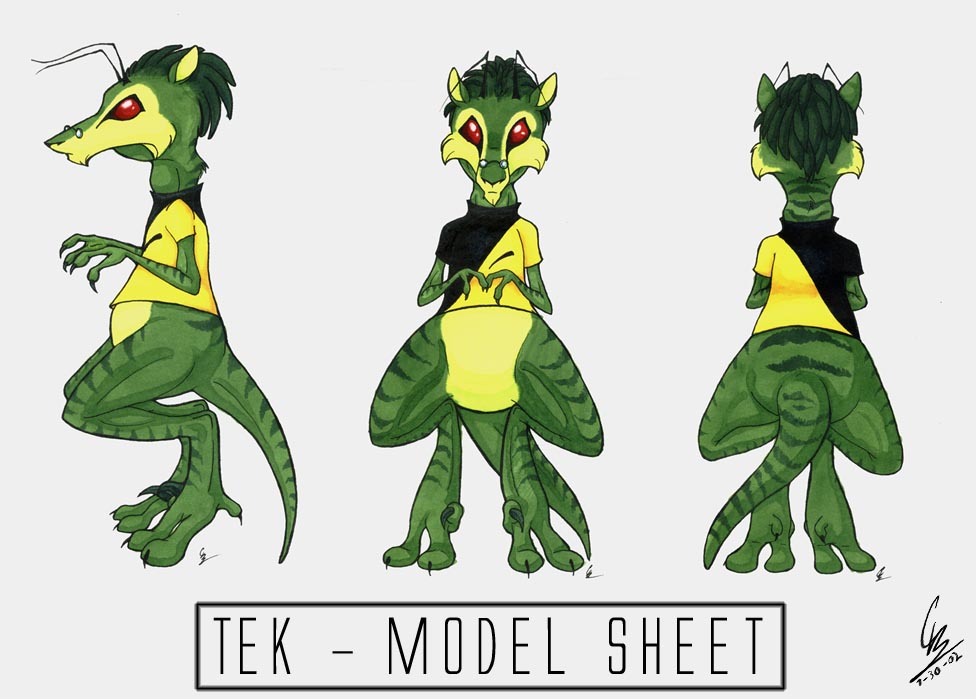 Tek Model Sheet