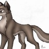 Balto-ish wolf