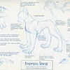 Fremen Lion Model Sheet