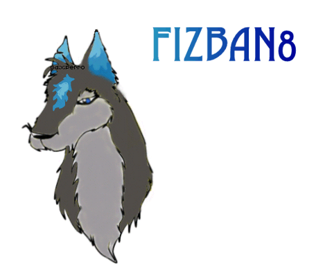 Fizban8