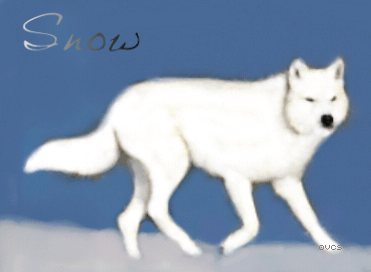 White Wolf