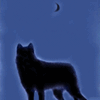 Shadow Wolf