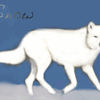 White Wolf