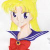 Usagi Tsukino/ Sailor Moon