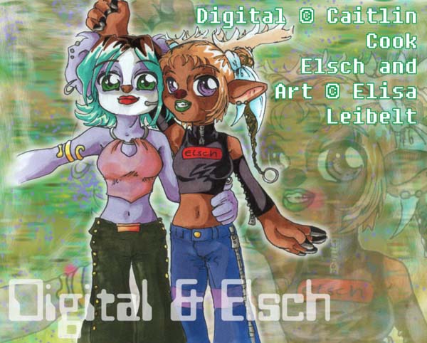 DIGITAL & ELSCH