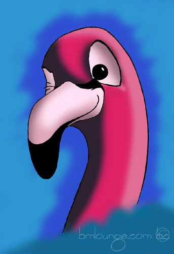 flamingo