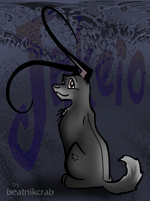 Neopets:  Jakeio the Grey Lupe