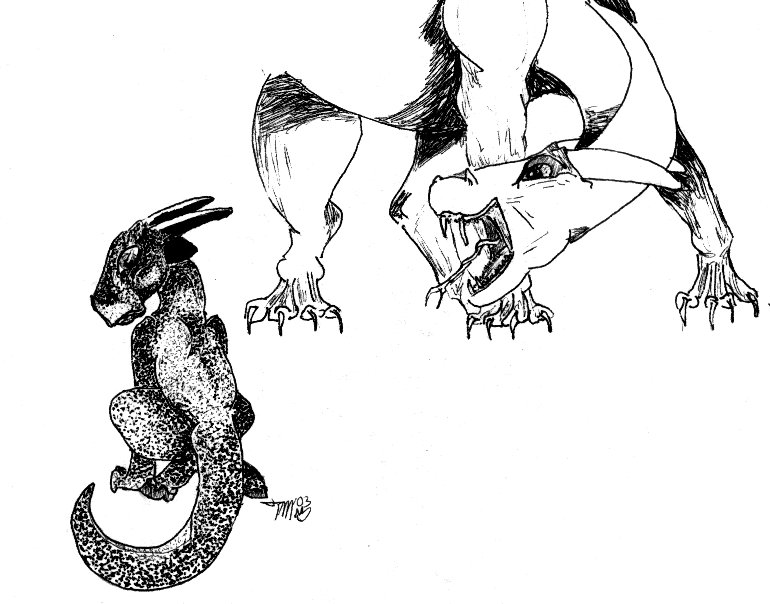 Dragon sketches.