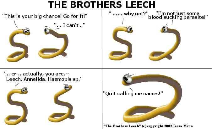 The Leech Brothers!