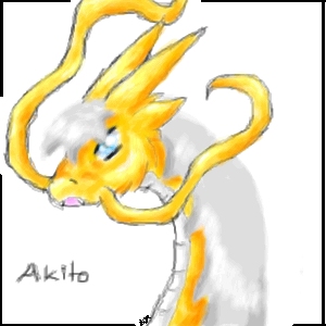 Akito/Ito Dragon