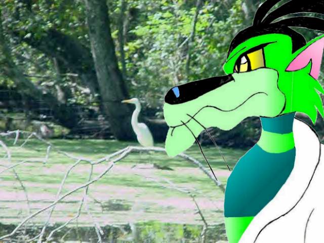 Viper In The Swamp