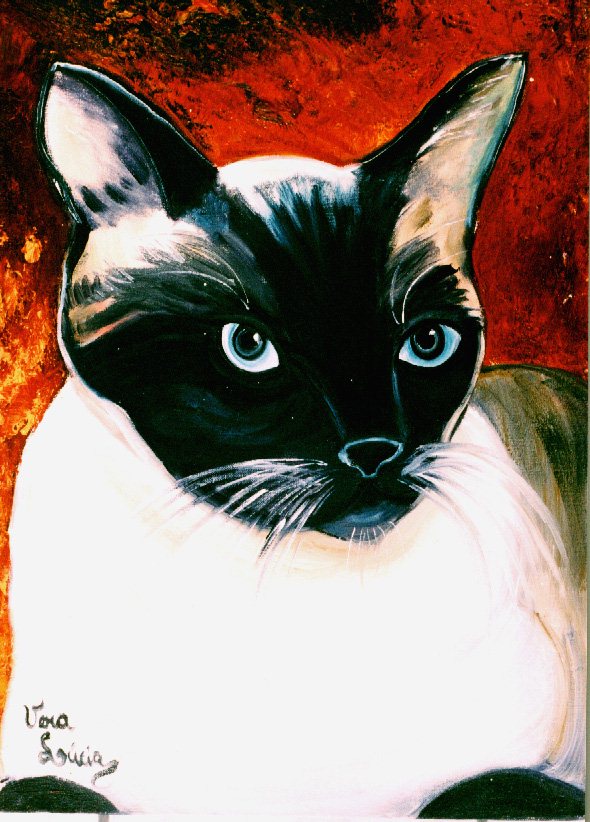 Siamese cat One