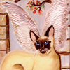 Winged siamese cat