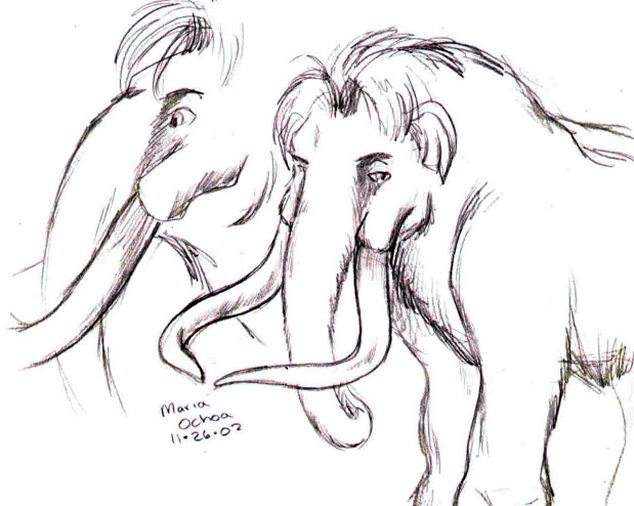 Mammoth sketches