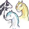 DBZ Mares