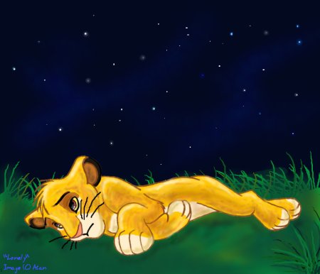 Lonely Simba