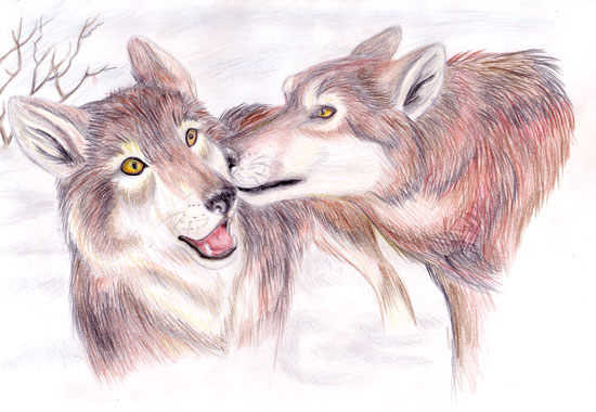 Wolves