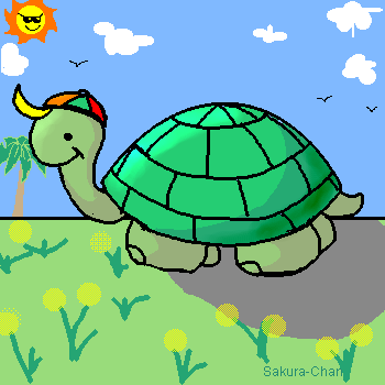 lil turtle