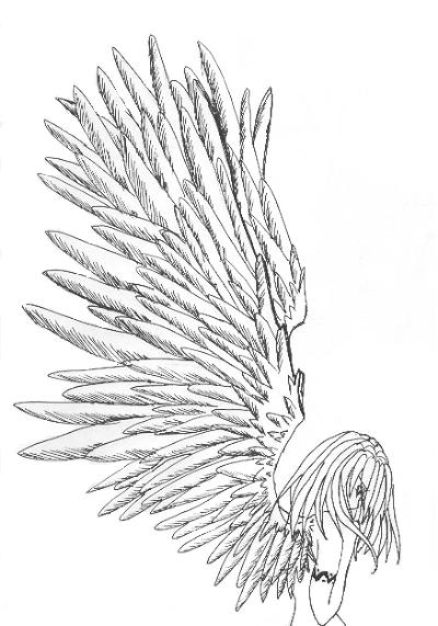 Large wings