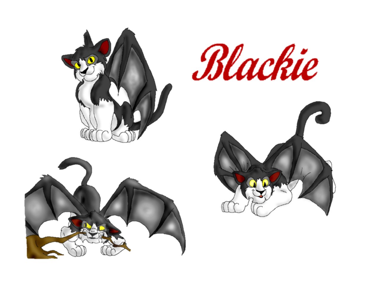 Blackie Chart