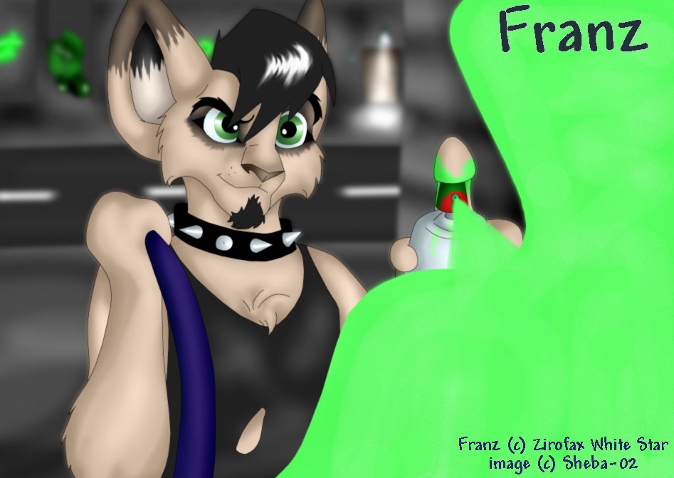 Franz the Alleycat