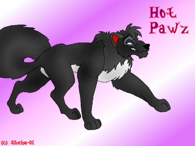 Hot Pawz